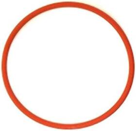 Brand Rancilio 36405001 Silvia Boiler Gasket