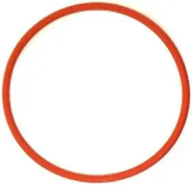 36405001 Brand Rancilio Silvia Boiler Gasket