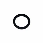 Rancilio Silvia Group Head Gasket New. Price: $8.94.