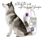 #1 All Systems Crisp Coat Shampoo Will Put Back "the Snap" New. Price: $47.95.