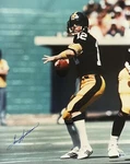Terry Bradshaw Signed 16X20 Bas S06878 Pittsburgh Steelers Hof Qb. Price: $229.95.